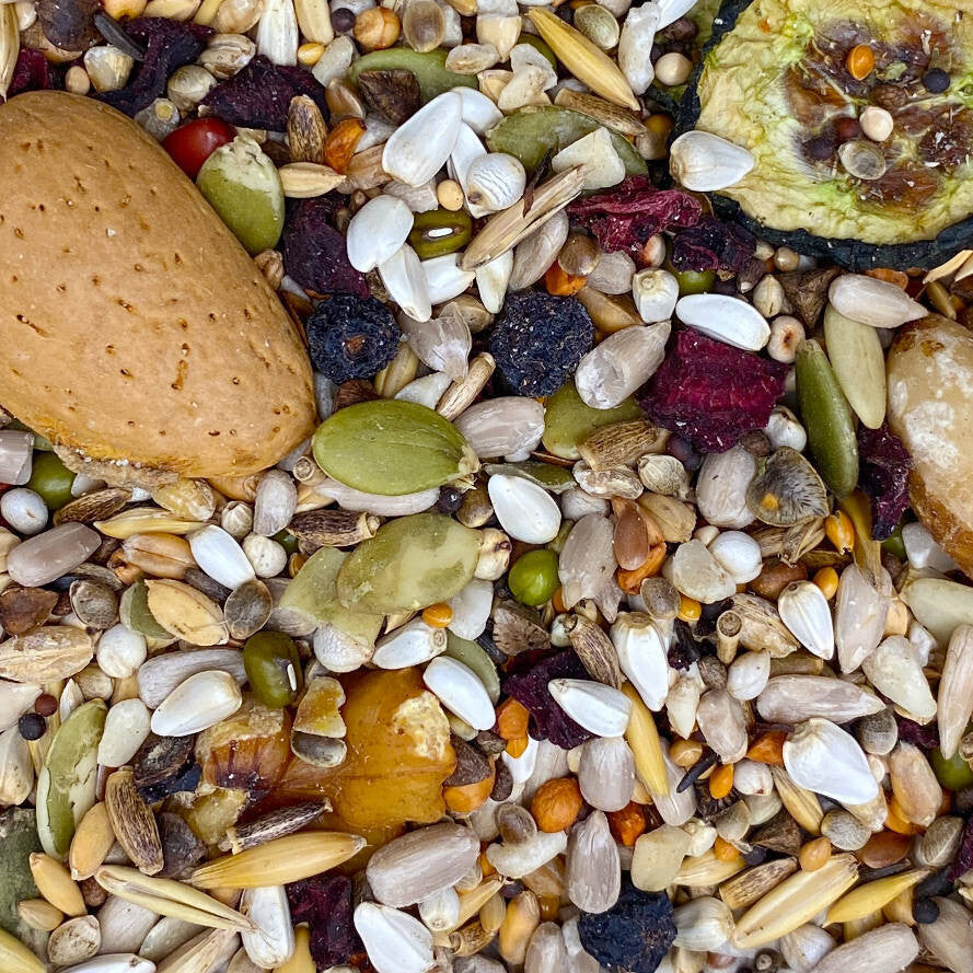 Mixerama Graupapagei Energy Plus - dr-buerkle-shop.de