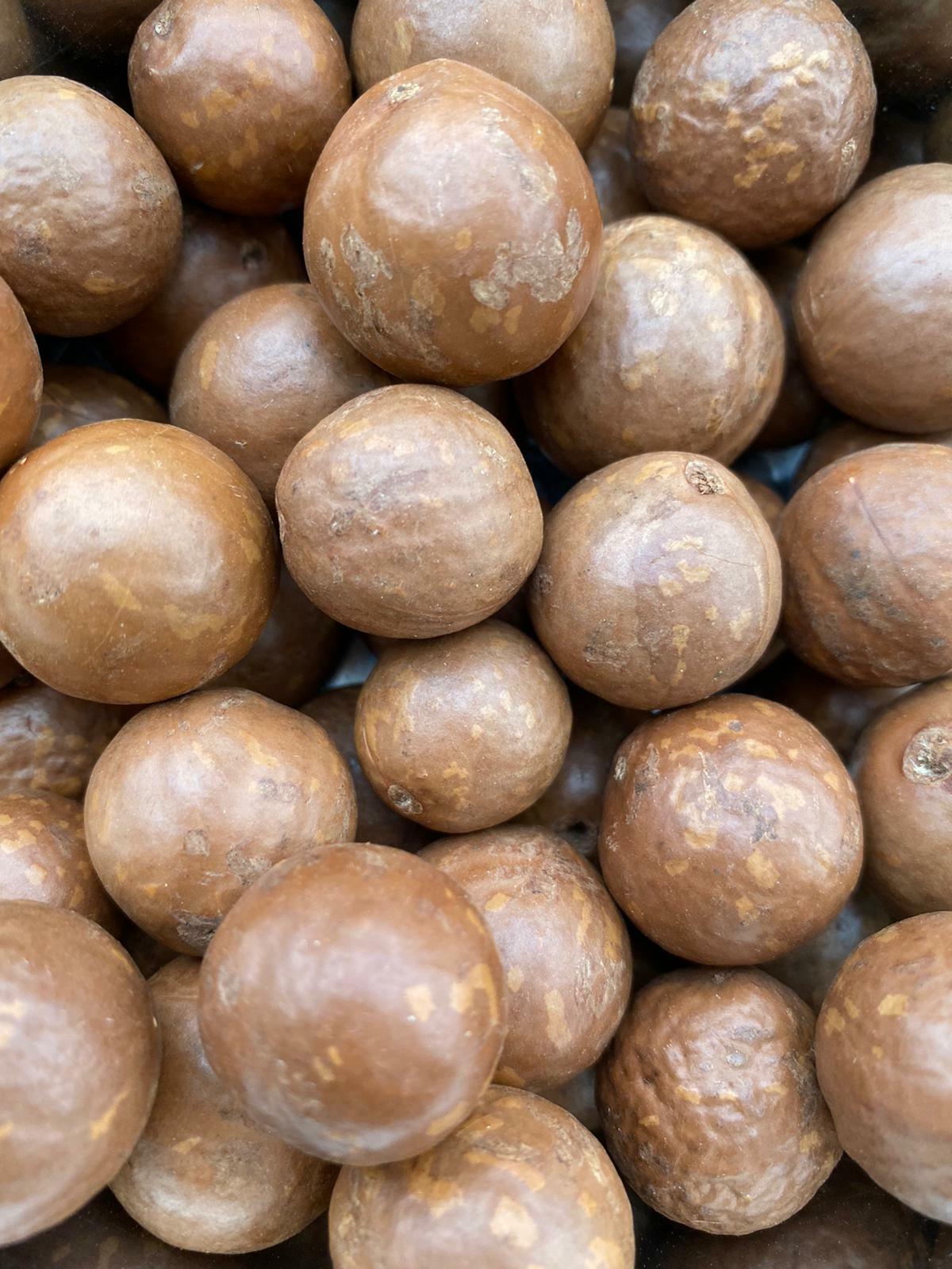 Macadamia Nüsse 800g (2,25.-/100g) - dr-buerkle-shop.de 