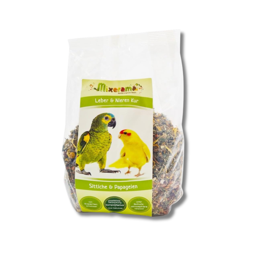 Mixerama Leber-Nierenkur