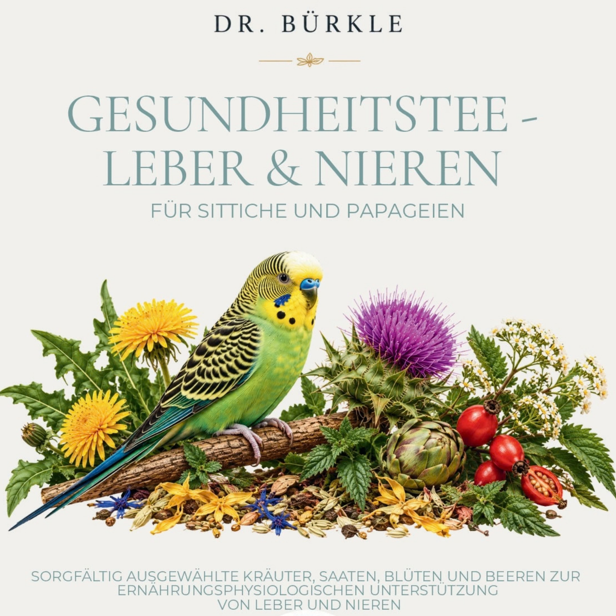 Dr. Bürkle Health Tea – Liver & Kidney