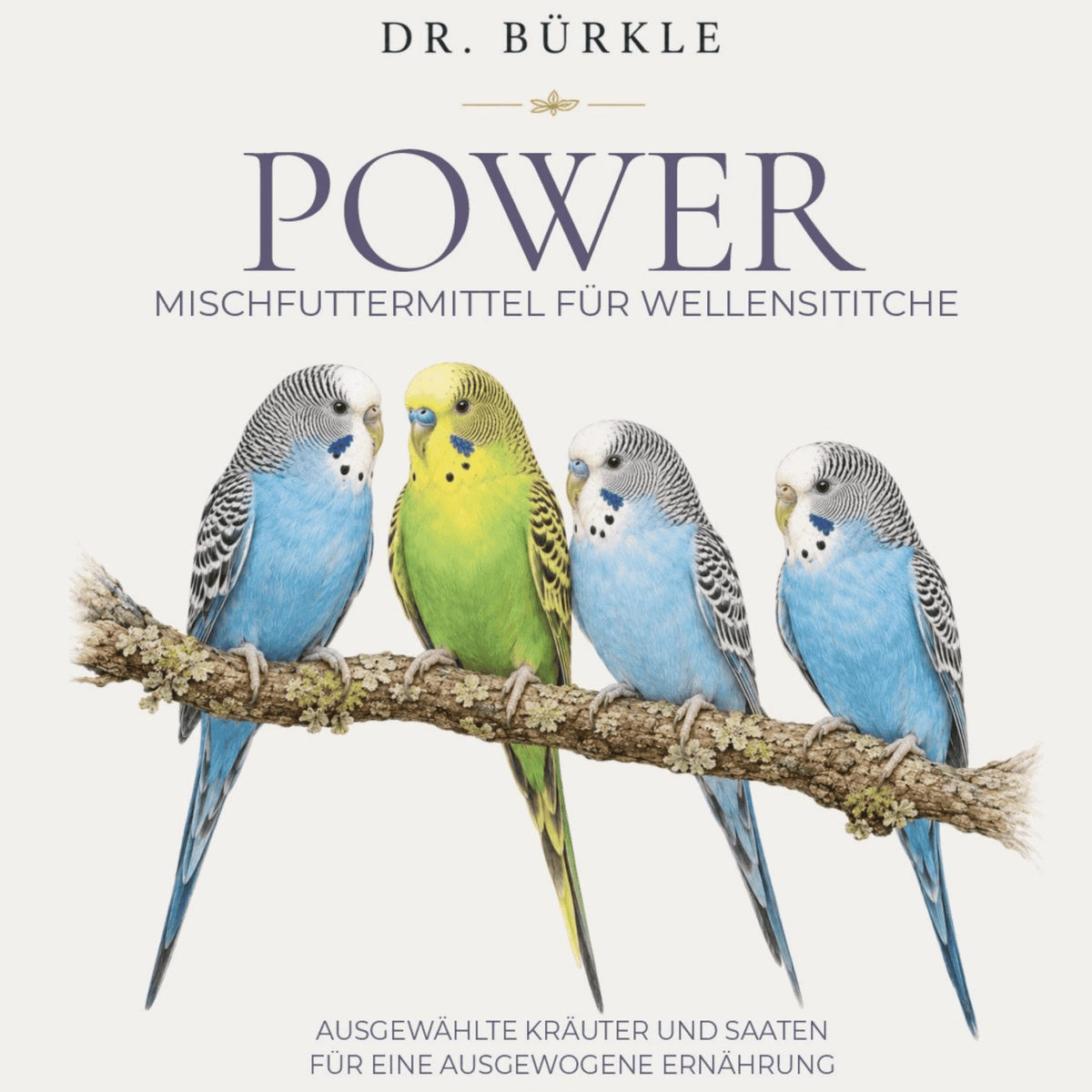 Dr. Bürkle Budgie Power – Feed mix for budgerigars