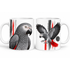 Graupapagei-Tasse