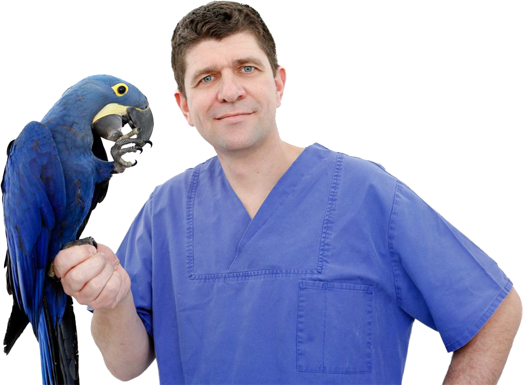 Dr. Bürkle Shop aus Achern - Alles für Sittiche, Papageien, Kanarien & Exoten