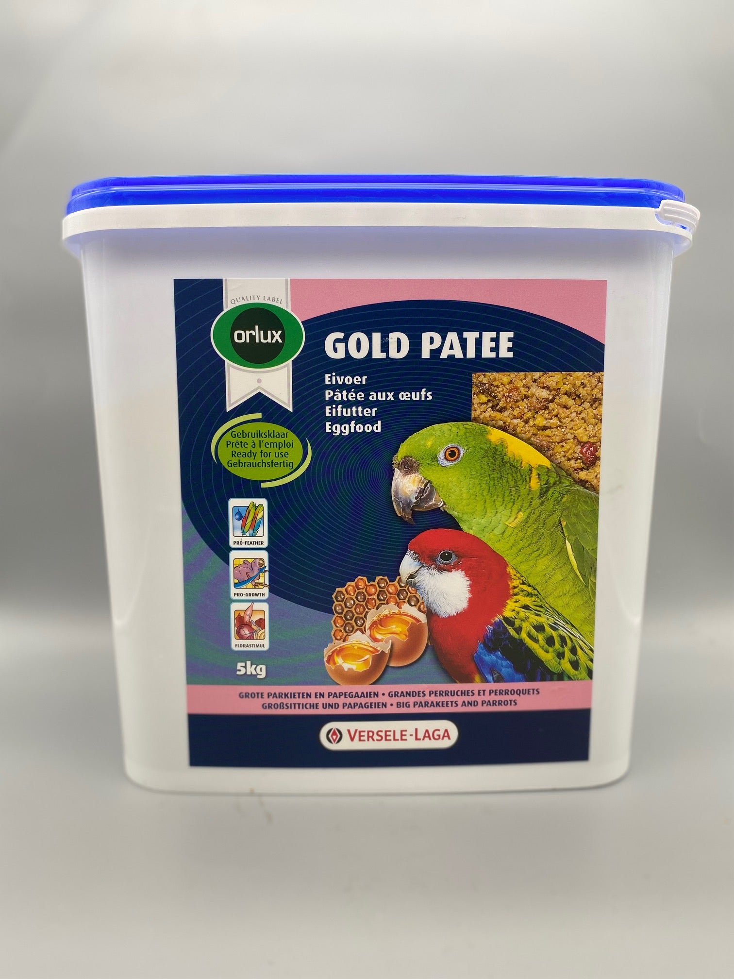 Gold Patee Sittiche & Papageien