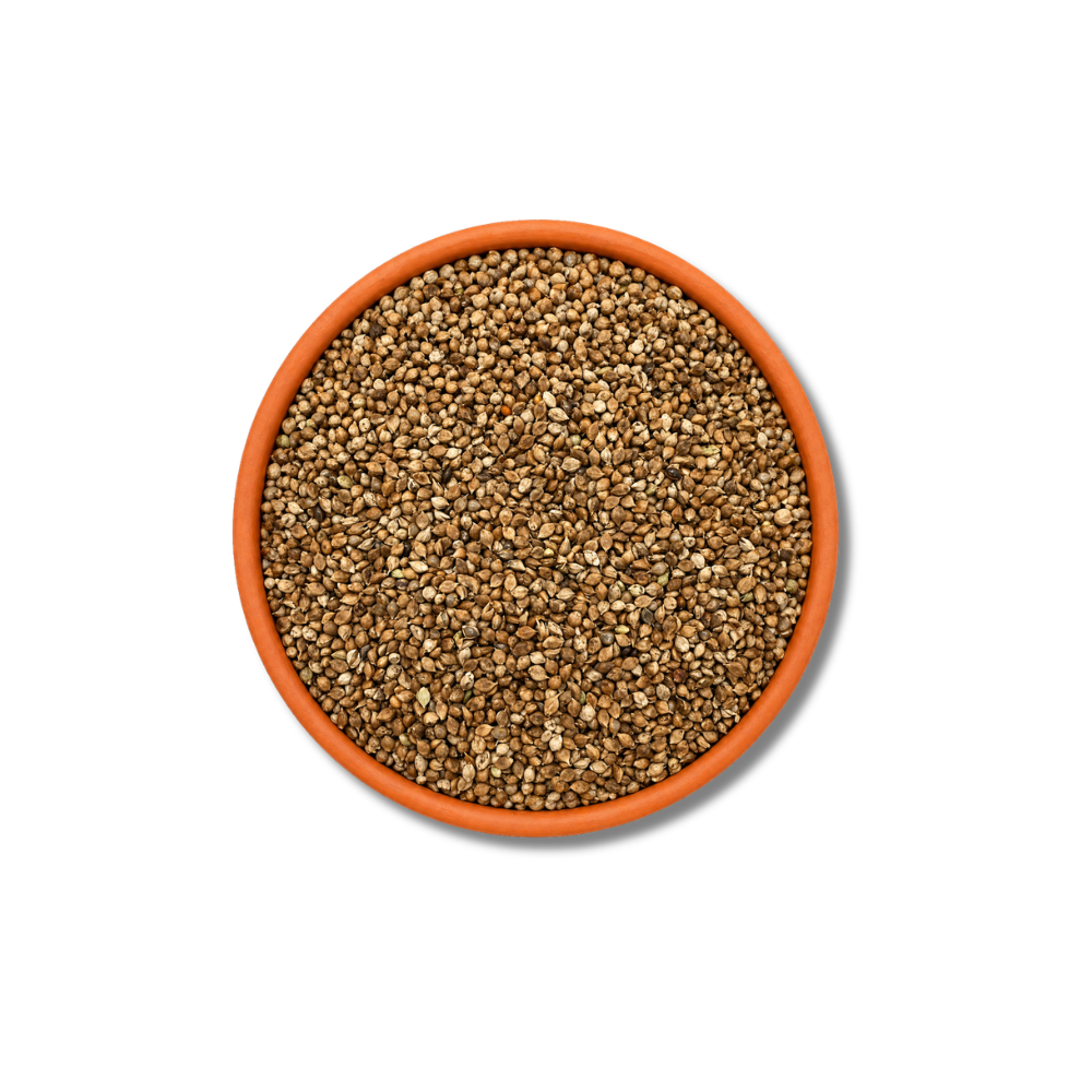 Japanese millet