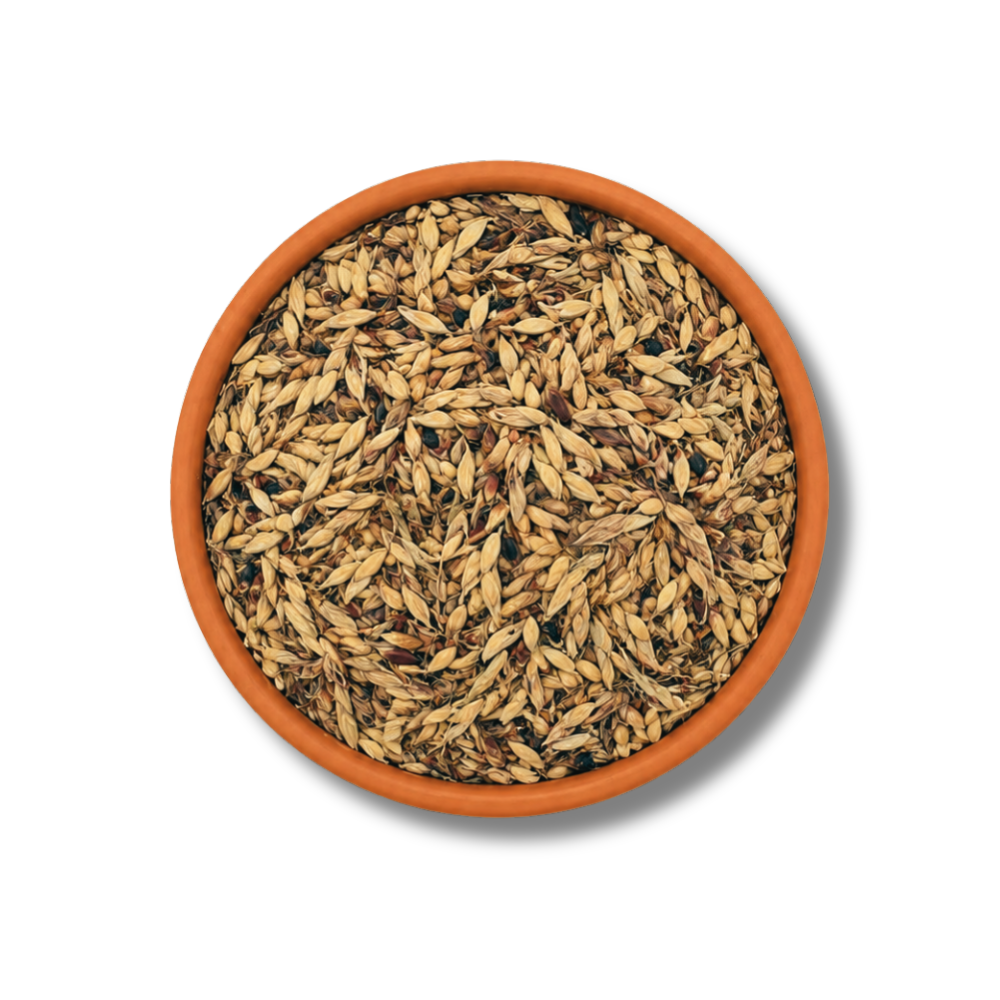 Delicha – Grassamen für Wellensittiche & Ziervögel