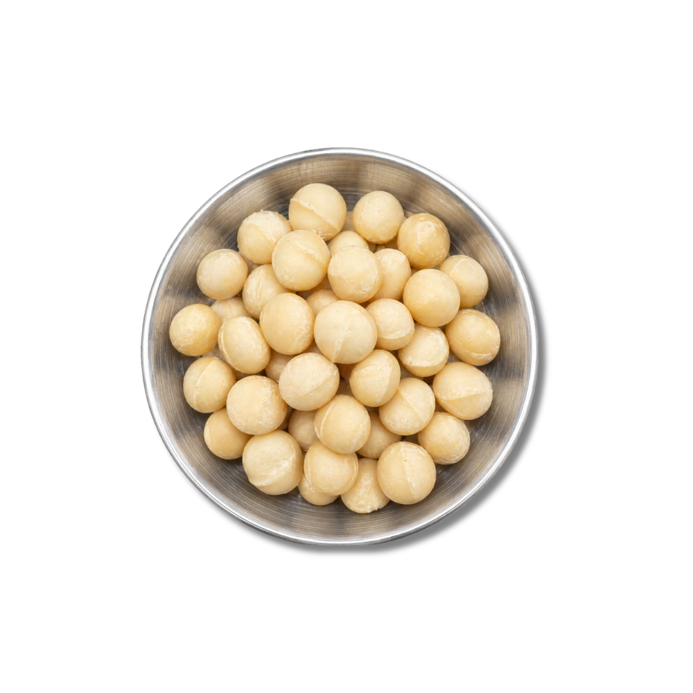Macadamia Kerne - jumbo