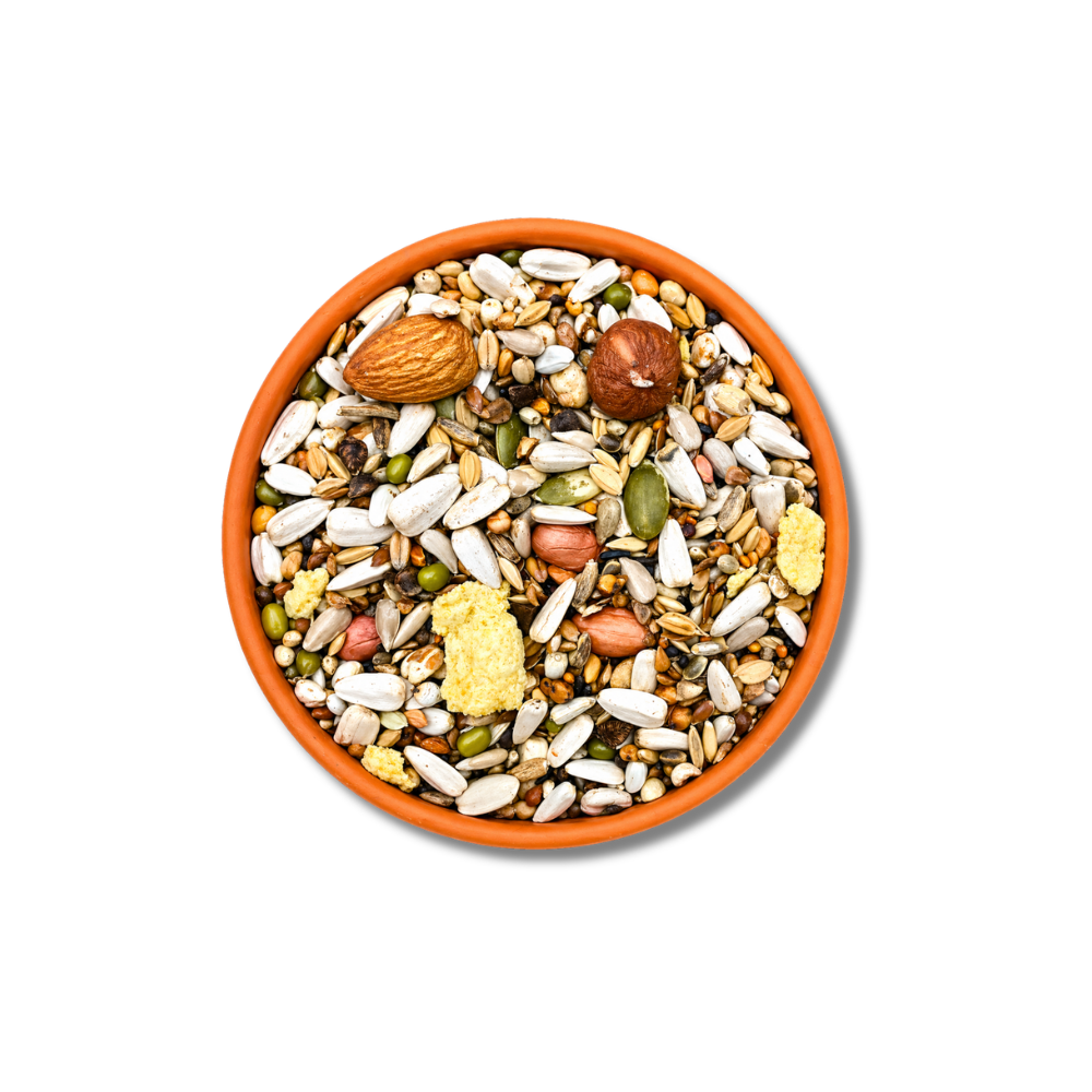 Mixerama Large Parrot Nutty Delight