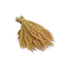 Silberhirse